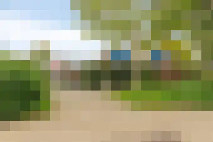 Korenmolen 4 Koog aan de Zaan thumbnail 35