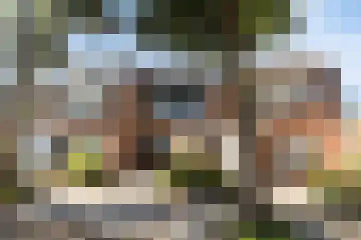 Korenmolen 4 Koog aan de Zaan thumbnail 5