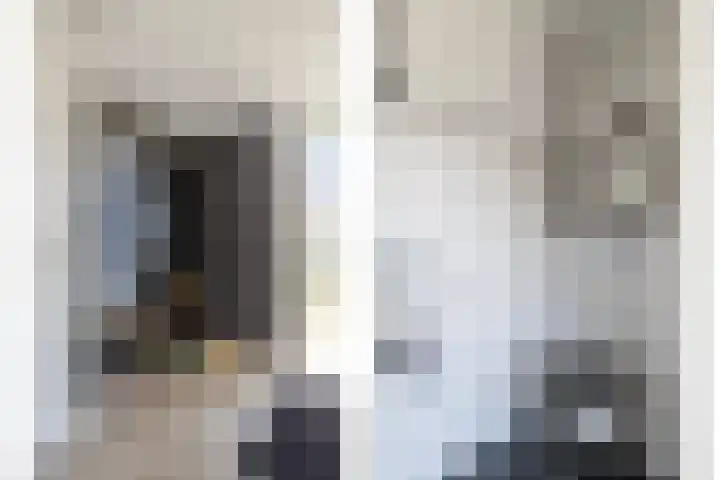 Korenmolen 4 Koog aan de Zaan thumbnail 7