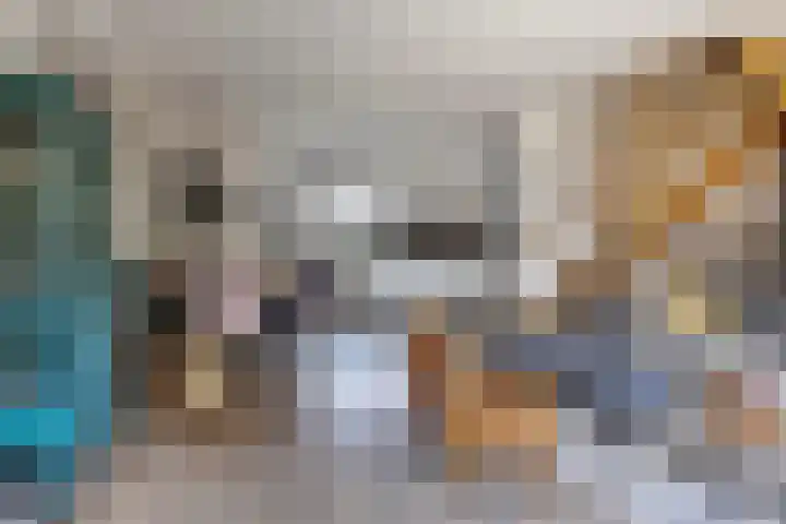 Korenmolen 4 Koog aan de Zaan thumbnail 8