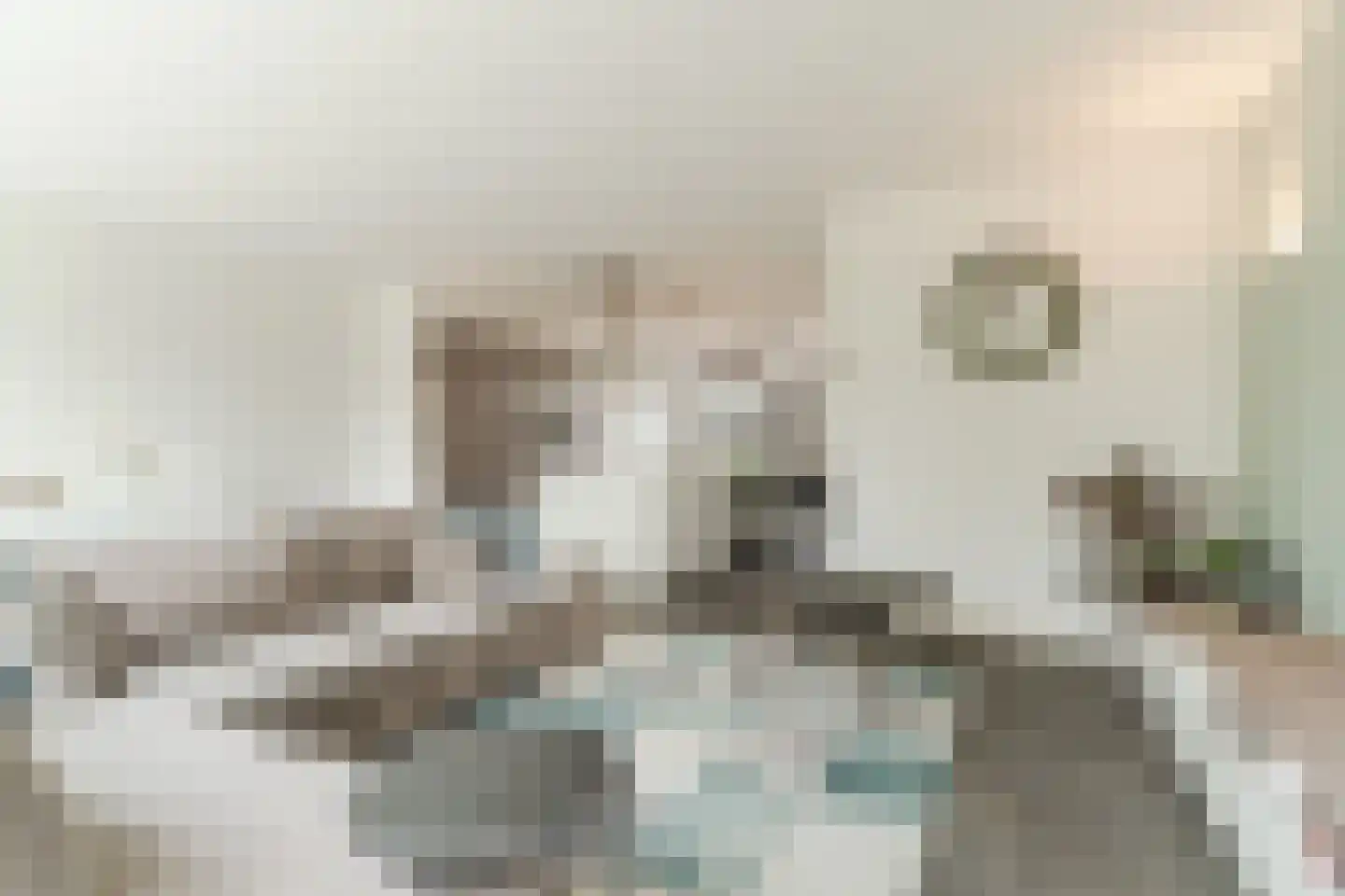 Korenmolen 41 Berkel-Enschot foto 3