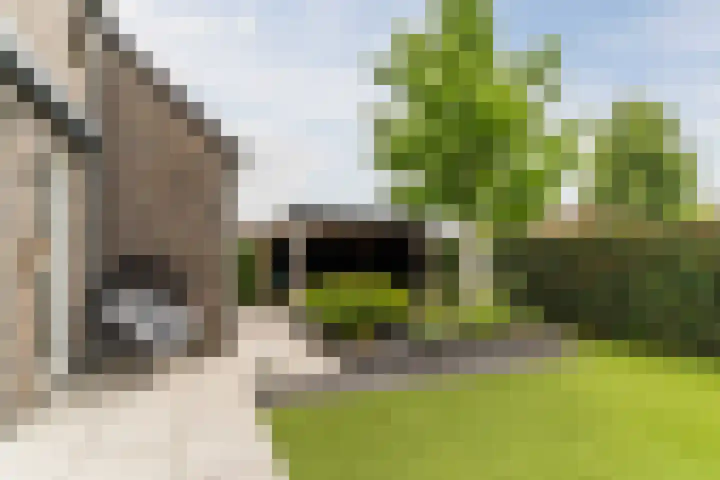 Korenmolen 41 Berkel-Enschot thumbnail 35