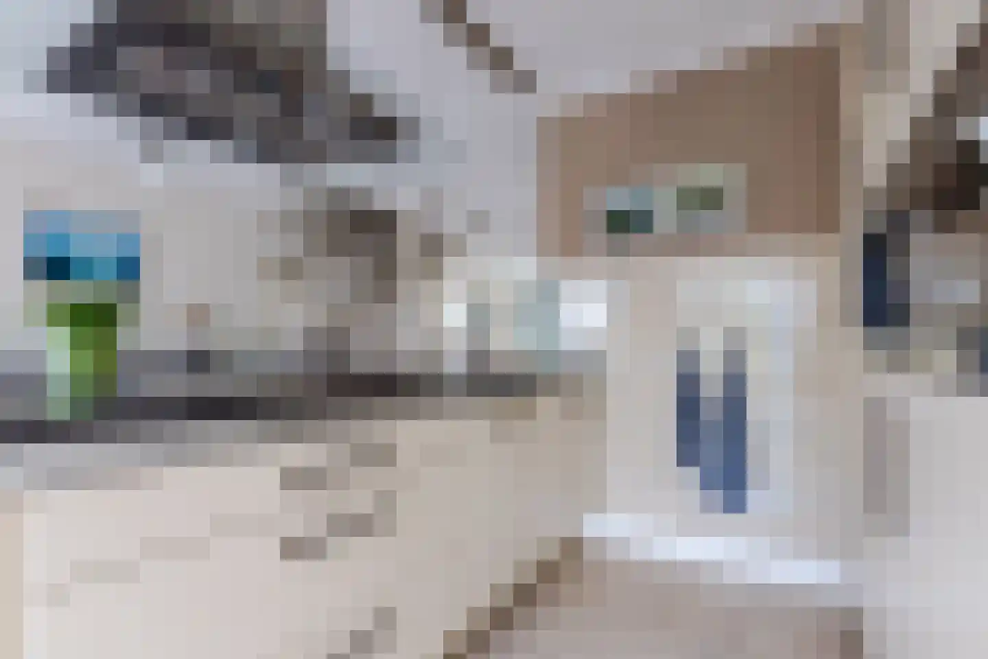 Korenmolen 41 Nieuwe Niedorp thumbnail 13