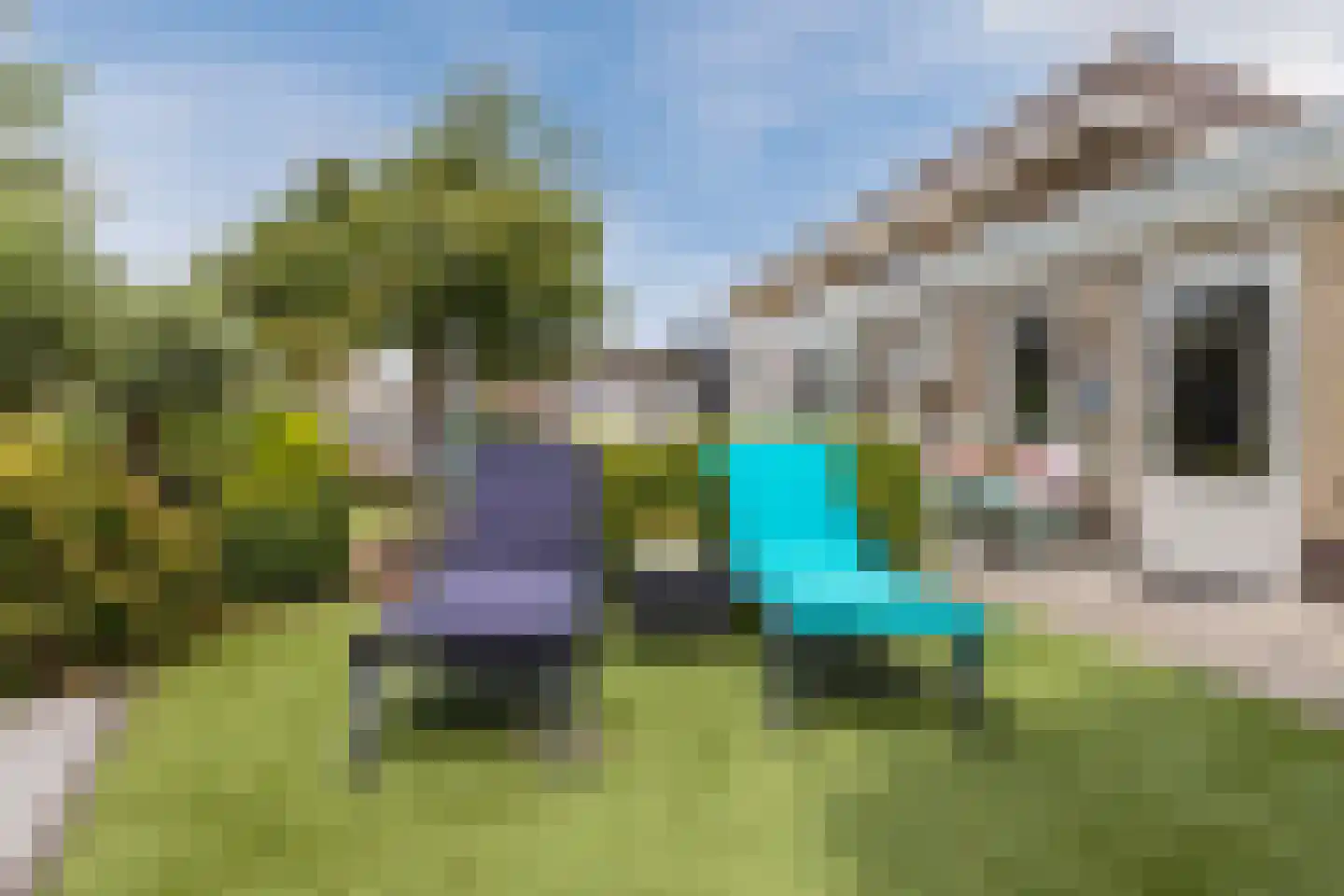 Korenmolen 41 Nieuwe Niedorp thumbnail 37