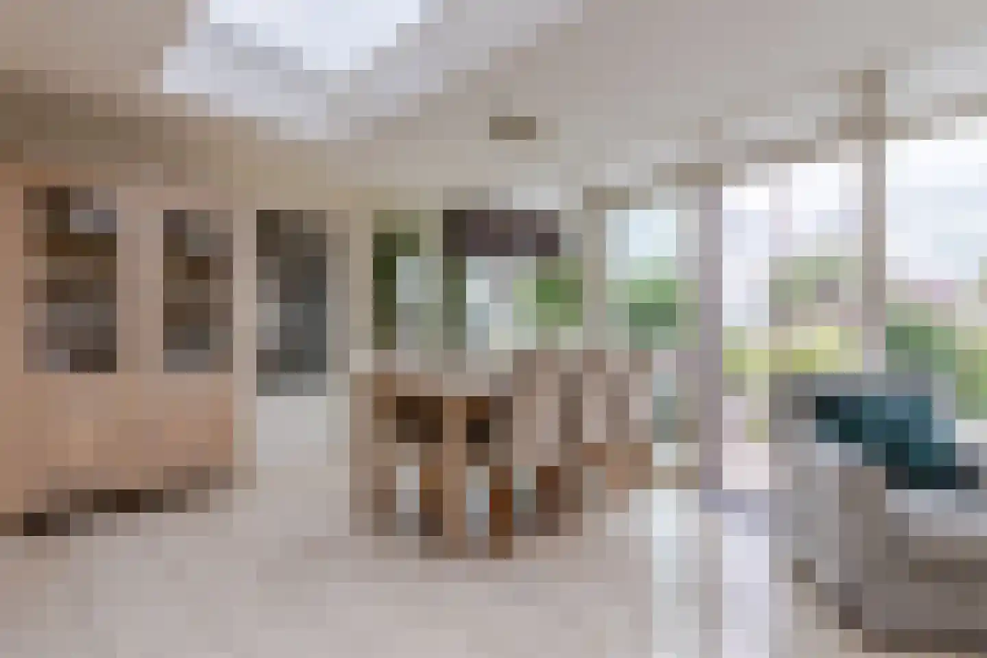 Korenmolen 41 Nieuwe Niedorp thumbnail 4
