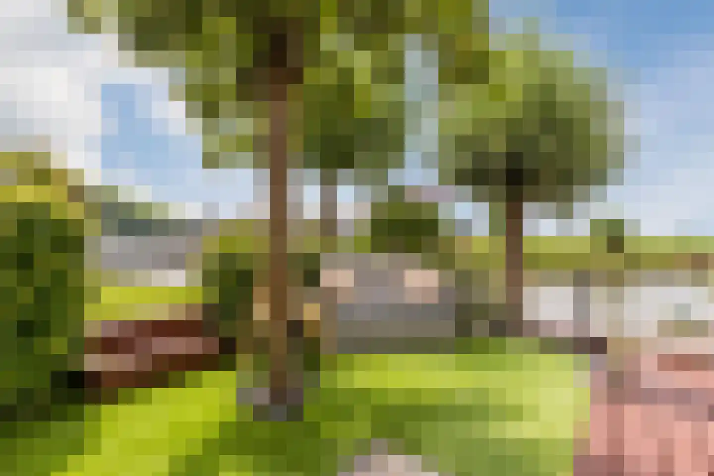 Korenmolen 41 Nieuwe Niedorp thumbnail 41