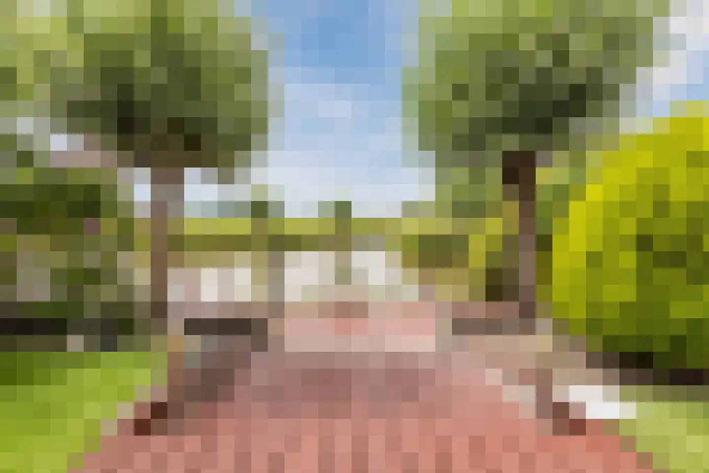Korenmolen 41 Nieuwe Niedorp thumbnail 42