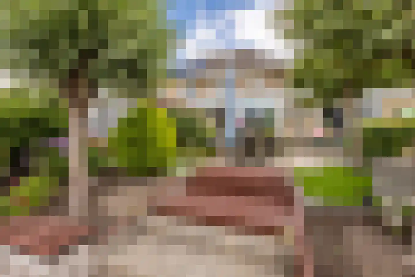 Korenmolen 41 Nieuwe Niedorp thumbnail 43