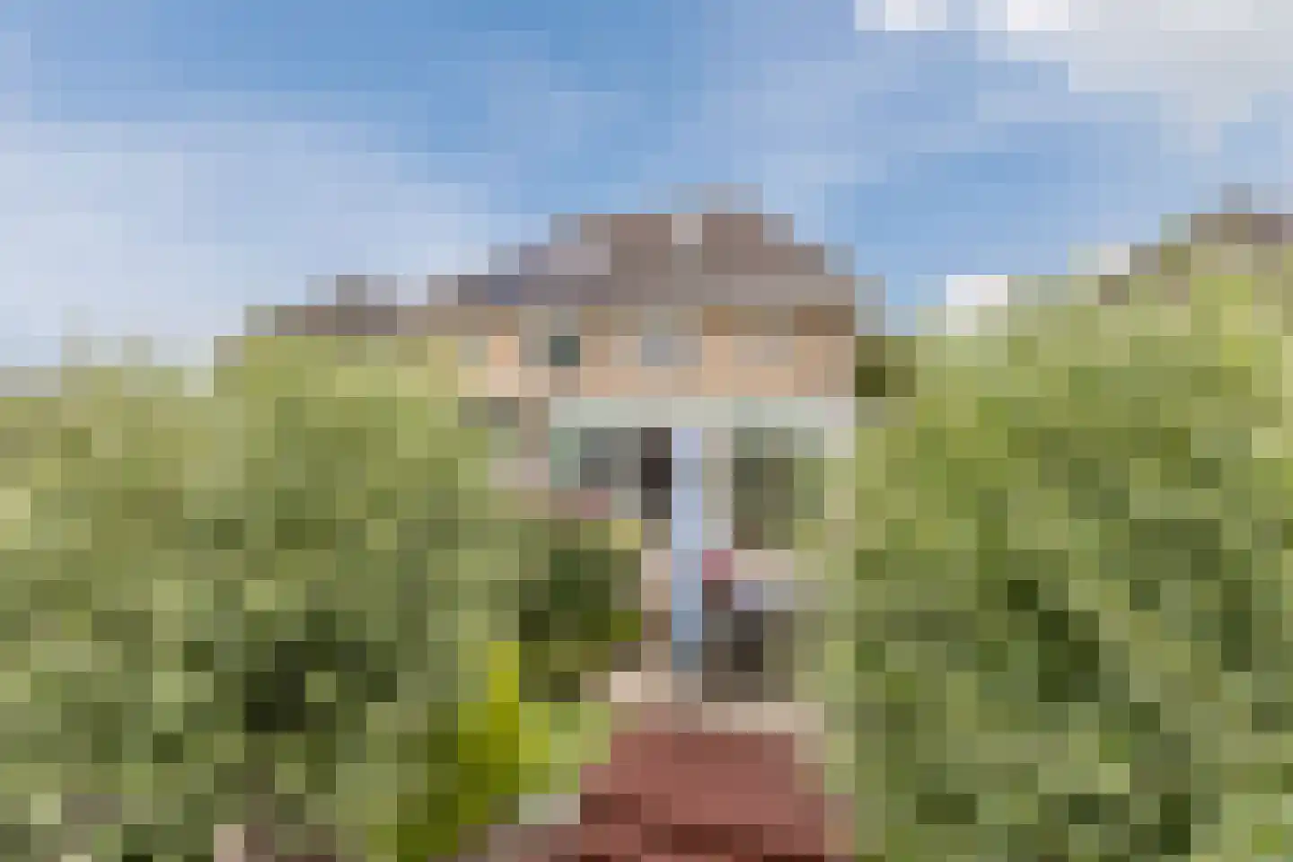 Korenmolen 41 Nieuwe Niedorp thumbnail 45