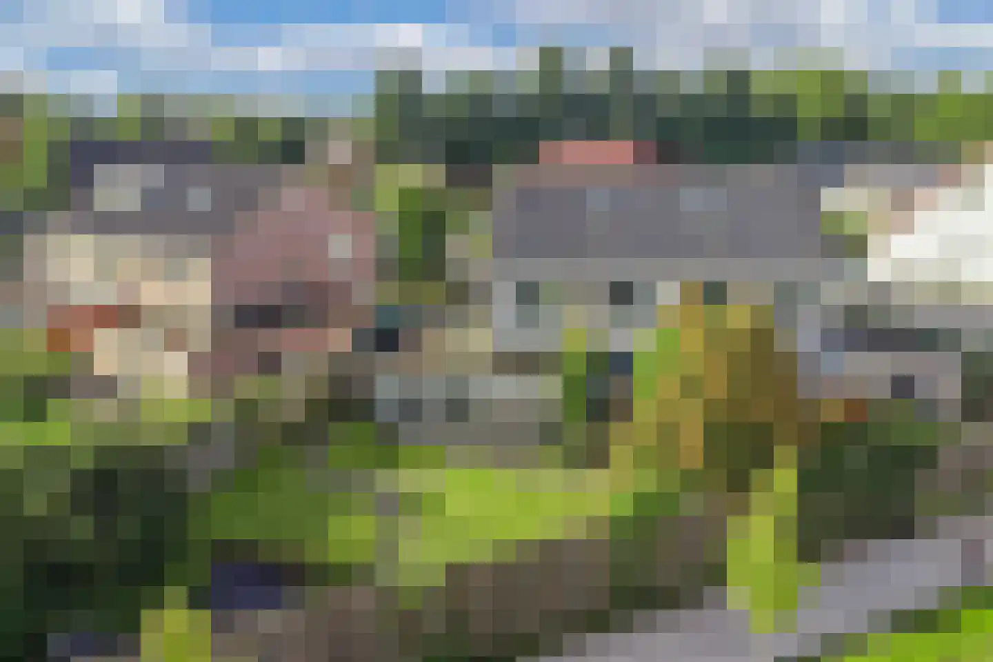 Korenmolen 5 a Drachten thumbnail 4