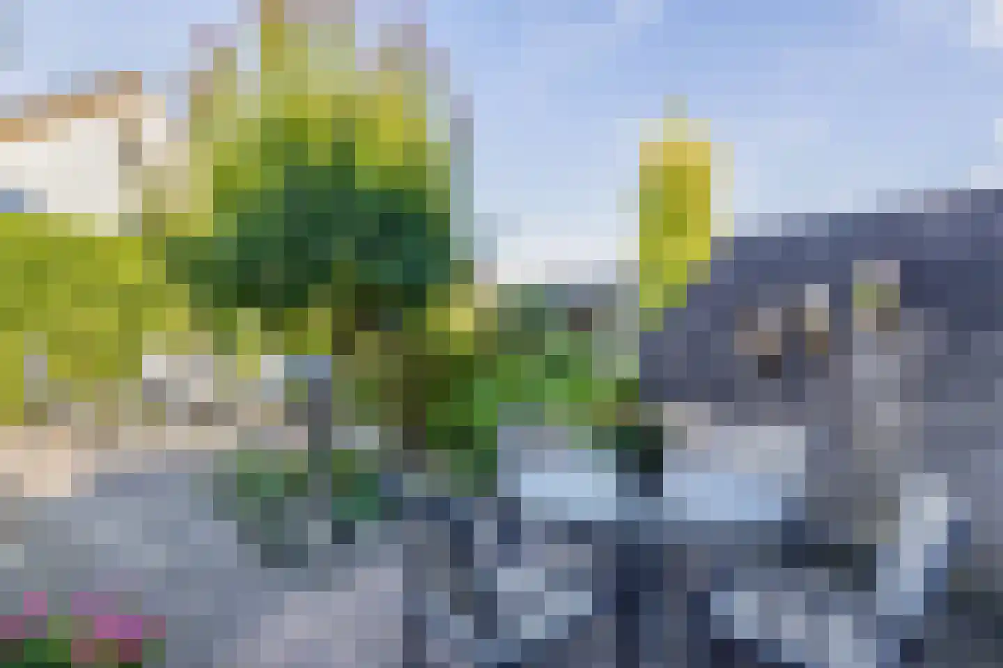 Korenmolen 5 Drachten thumbnail 33