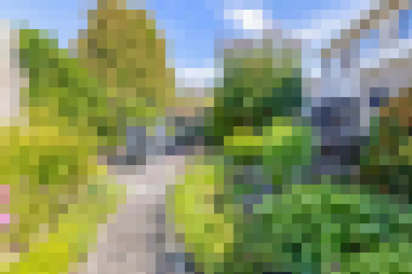 Korenmolen 5 Drachten thumbnail 36