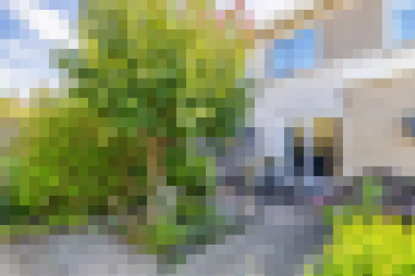 Korenmolen 5 Drachten thumbnail 37