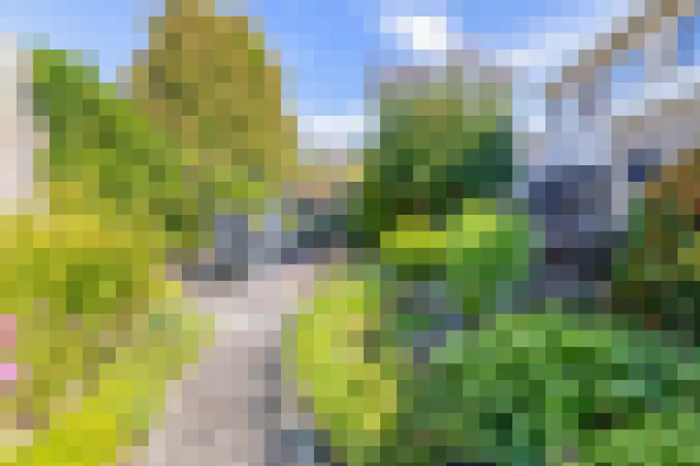 Korenmolen 5 Drachten thumbnail 5