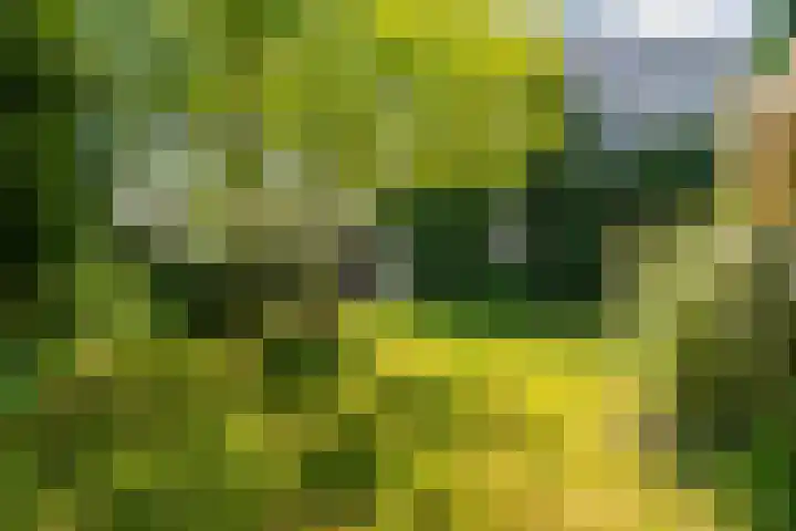 Korenmolen 5 Weert thumbnail 37