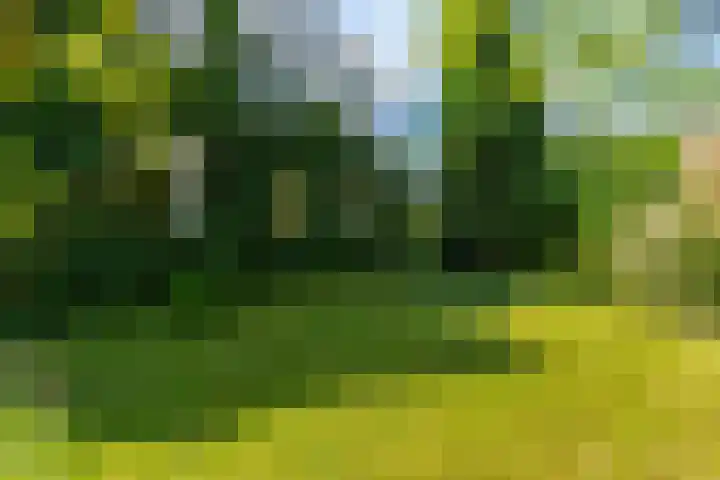 Korenmolen 5 Weert thumbnail 38