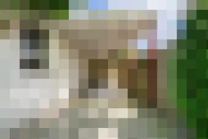 Korenmolen 5 Weert thumbnail 43