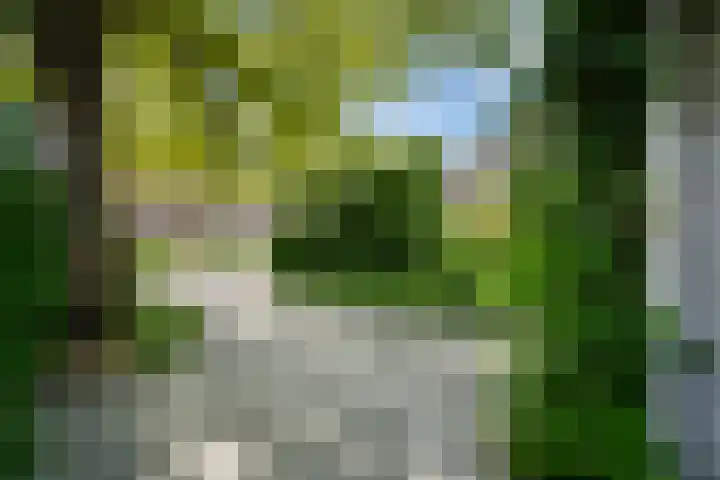 Korenmolen 5 Weert thumbnail 44