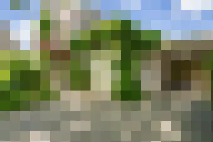 Korenmolen 5 Weert thumbnail 6