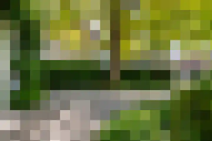 Korenmolen 5 Weert thumbnail 8