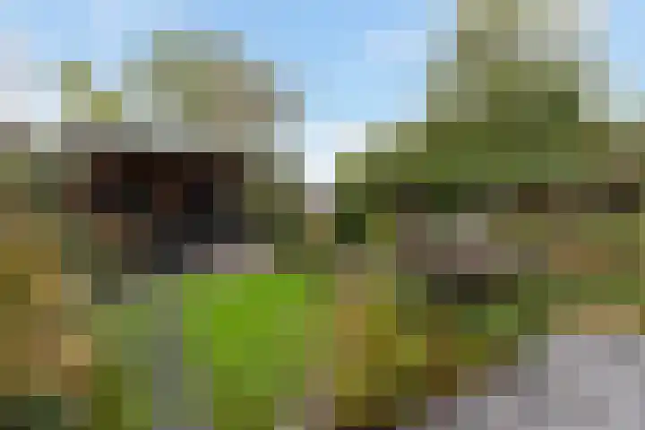 Korenmolen 51 Capelle aan den IJssel thumbnail 21