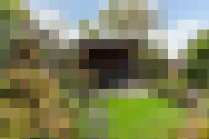 Korenmolen 51 Capelle aan den IJssel thumbnail 22