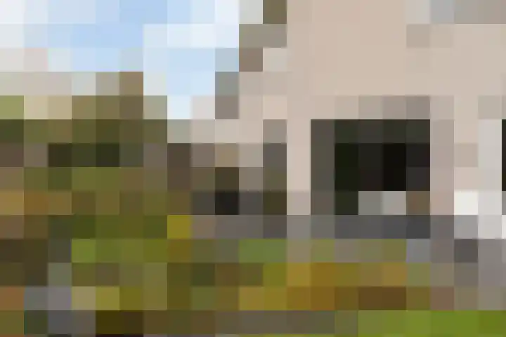Korenmolen 51 Capelle aan den IJssel thumbnail 30