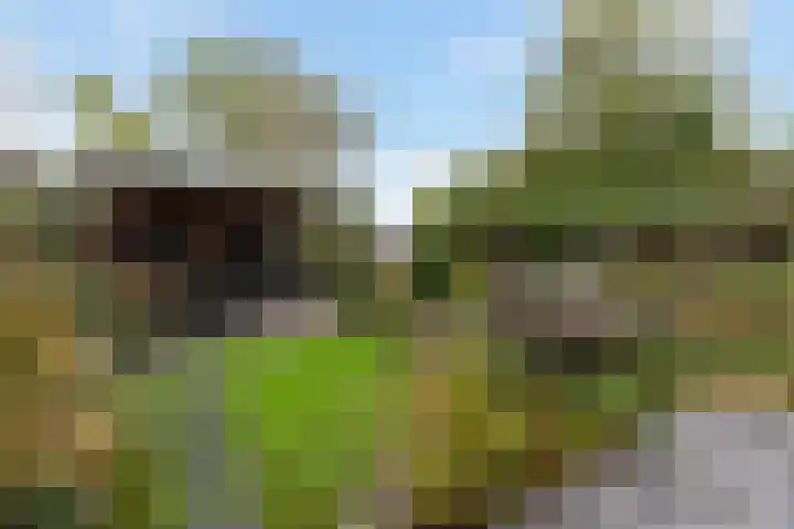 Korenmolen 51 Capelle aan den IJssel thumbnail 4