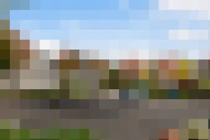 Korenmolen 51 Capelle aan den IJssel thumbnail 47