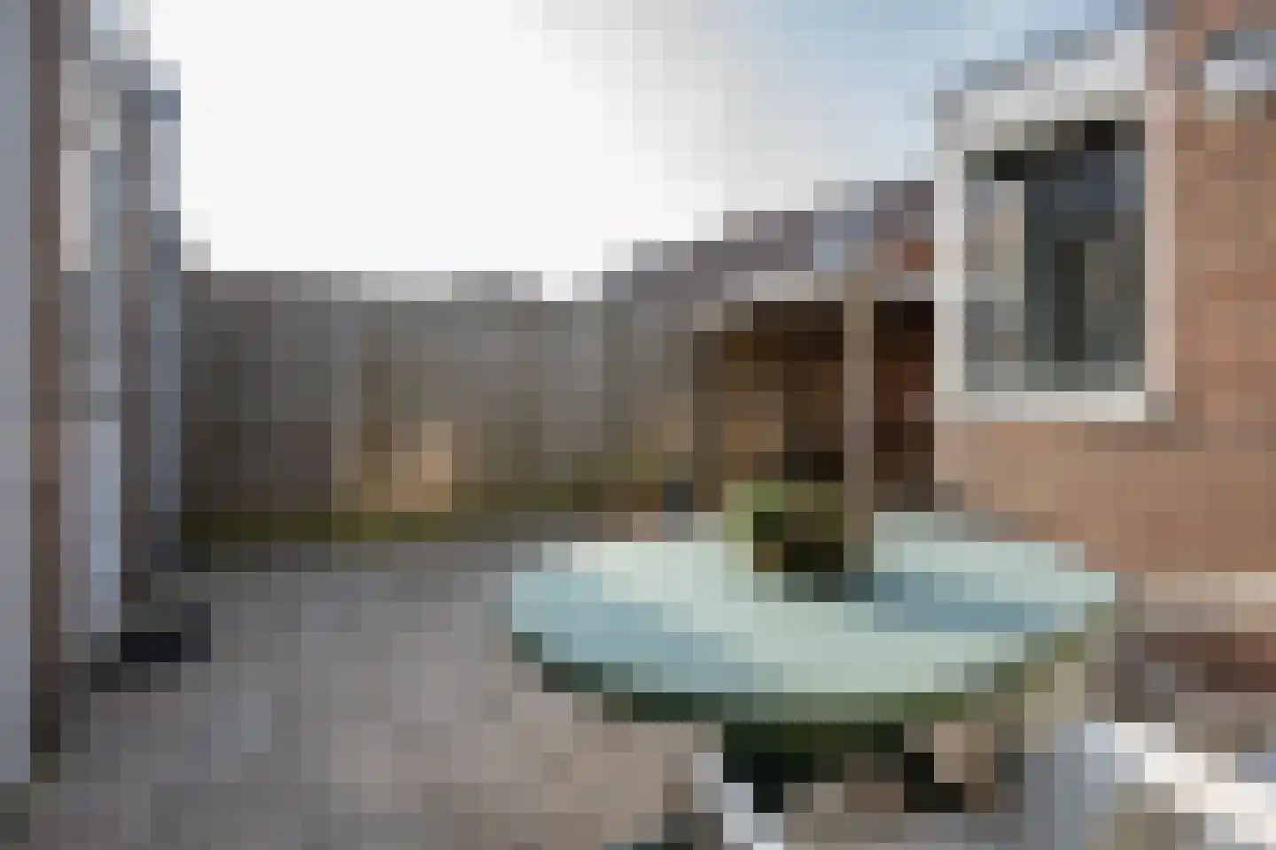 Korenmolen 51 Vianen thumbnail 52