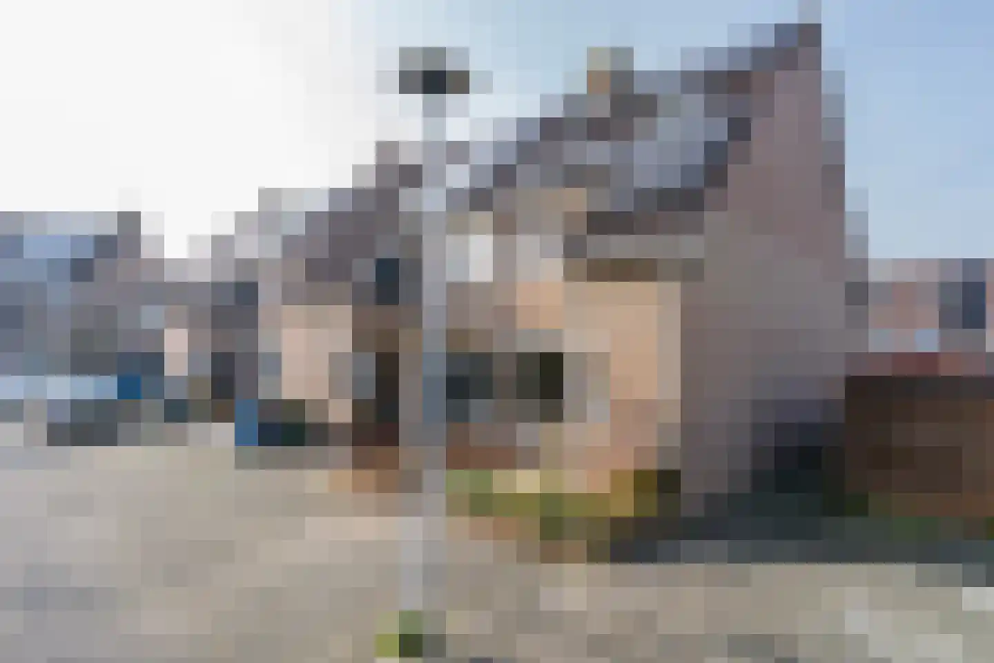 Korenmolen 51 Vianen thumbnail 56