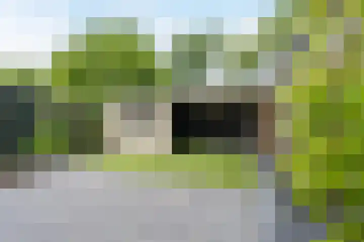 Korenmolen 52 Capelle aan den IJssel thumbnail 34