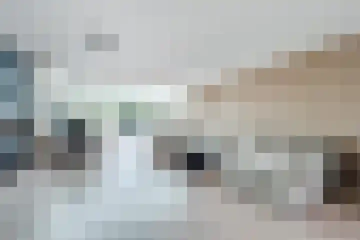Korenmolen 52 Capelle aan den IJssel thumbnail 6