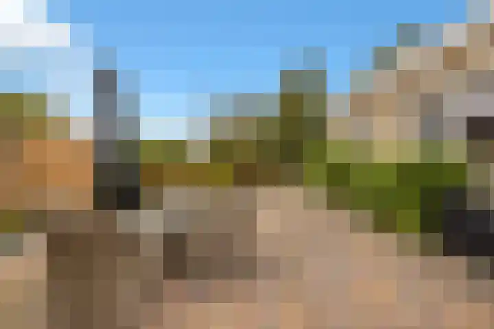 Korenmolen 55 Nieuwe Niedorp thumbnail 47