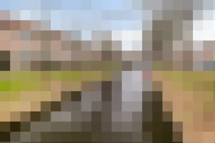 Korenmolen 60 Hoorn thumbnail 43