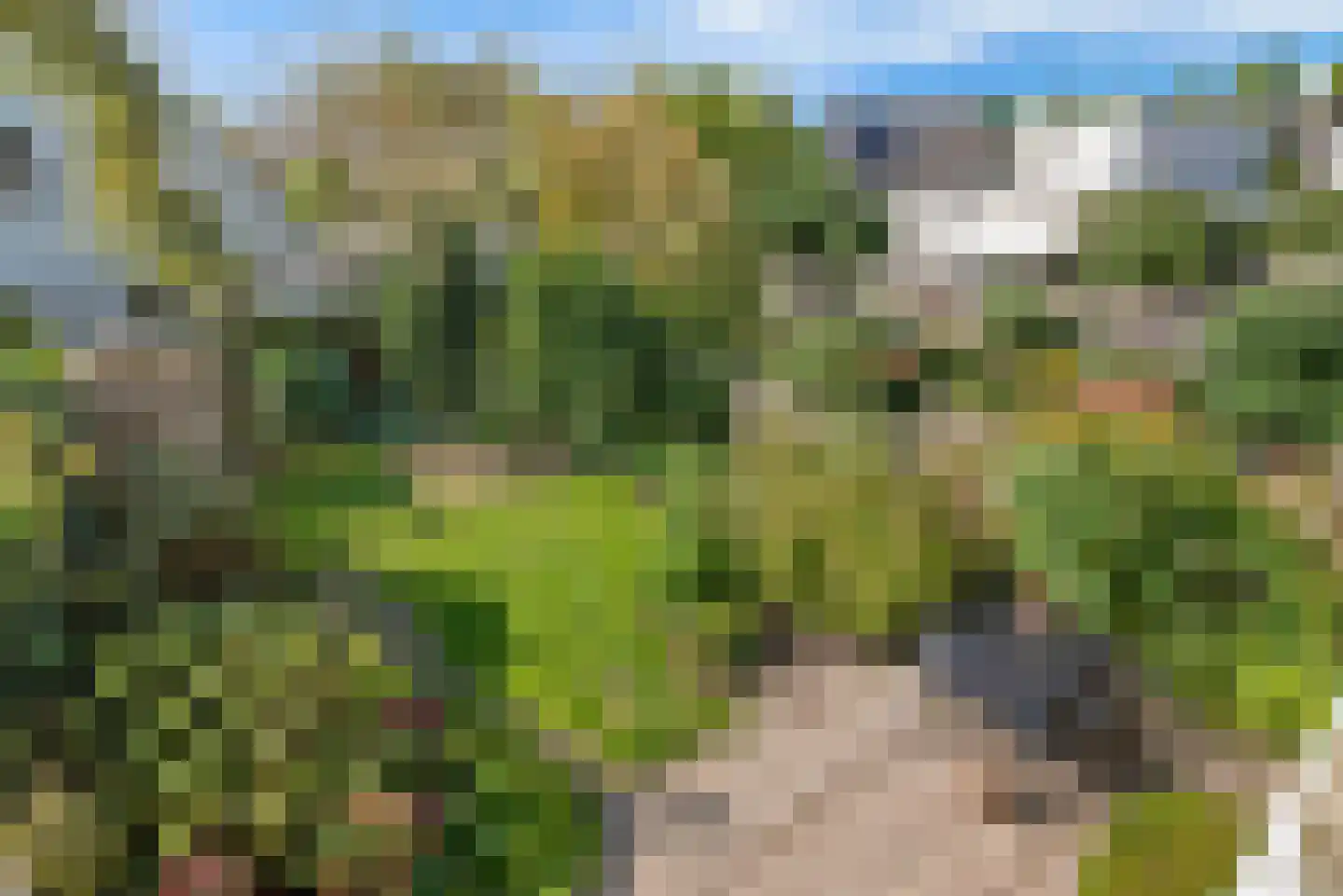 Korenmolen 64 Alphen aan den Rijn thumbnail 28
