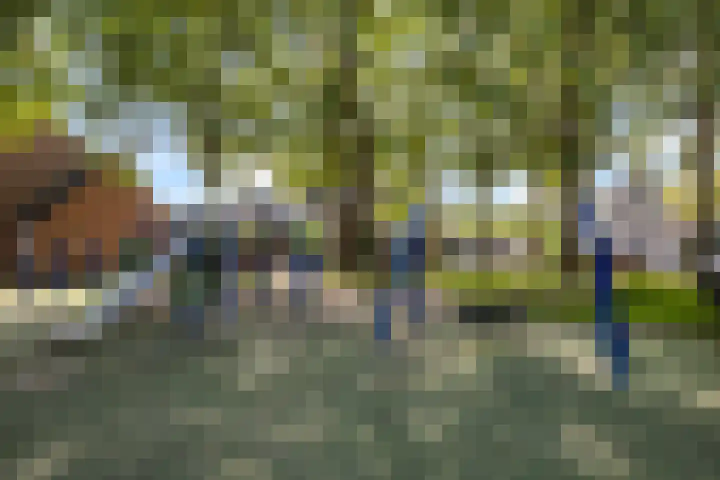 Korenmolen 64 Alphen aan den Rijn thumbnail 39