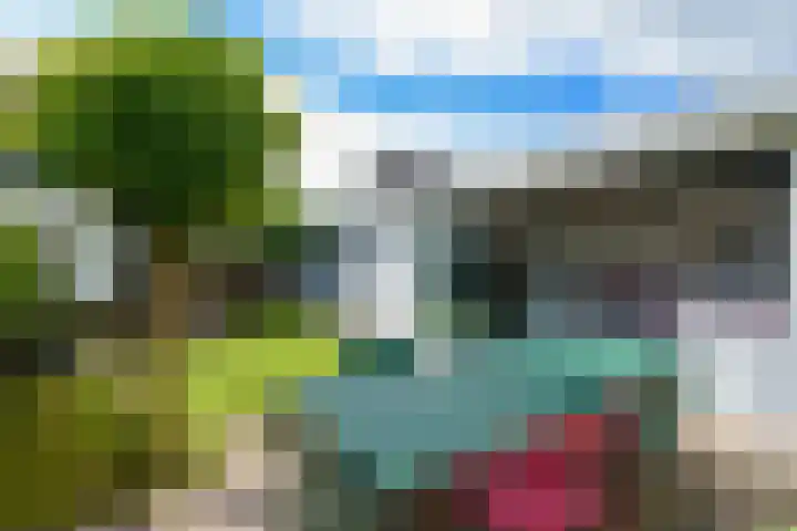 Korenmolen 64 Drachten thumbnail 47