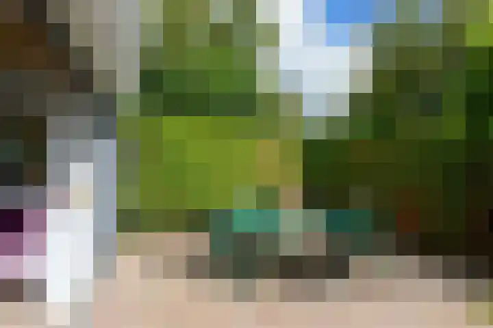 Korenmolen 64 Drachten thumbnail 51