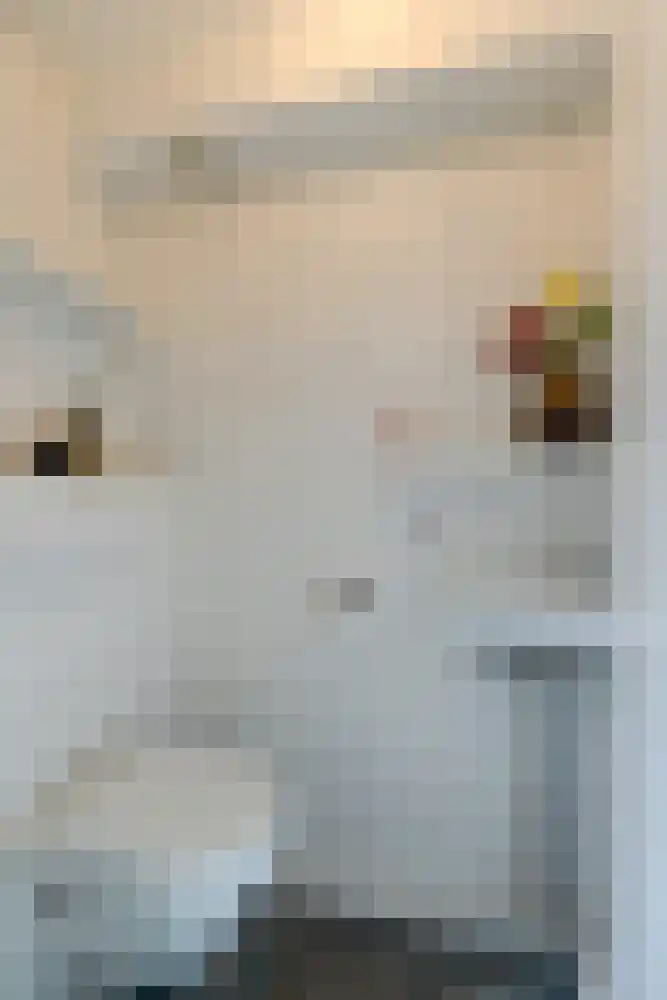 Korenmolen 64 Drachten thumbnail 6