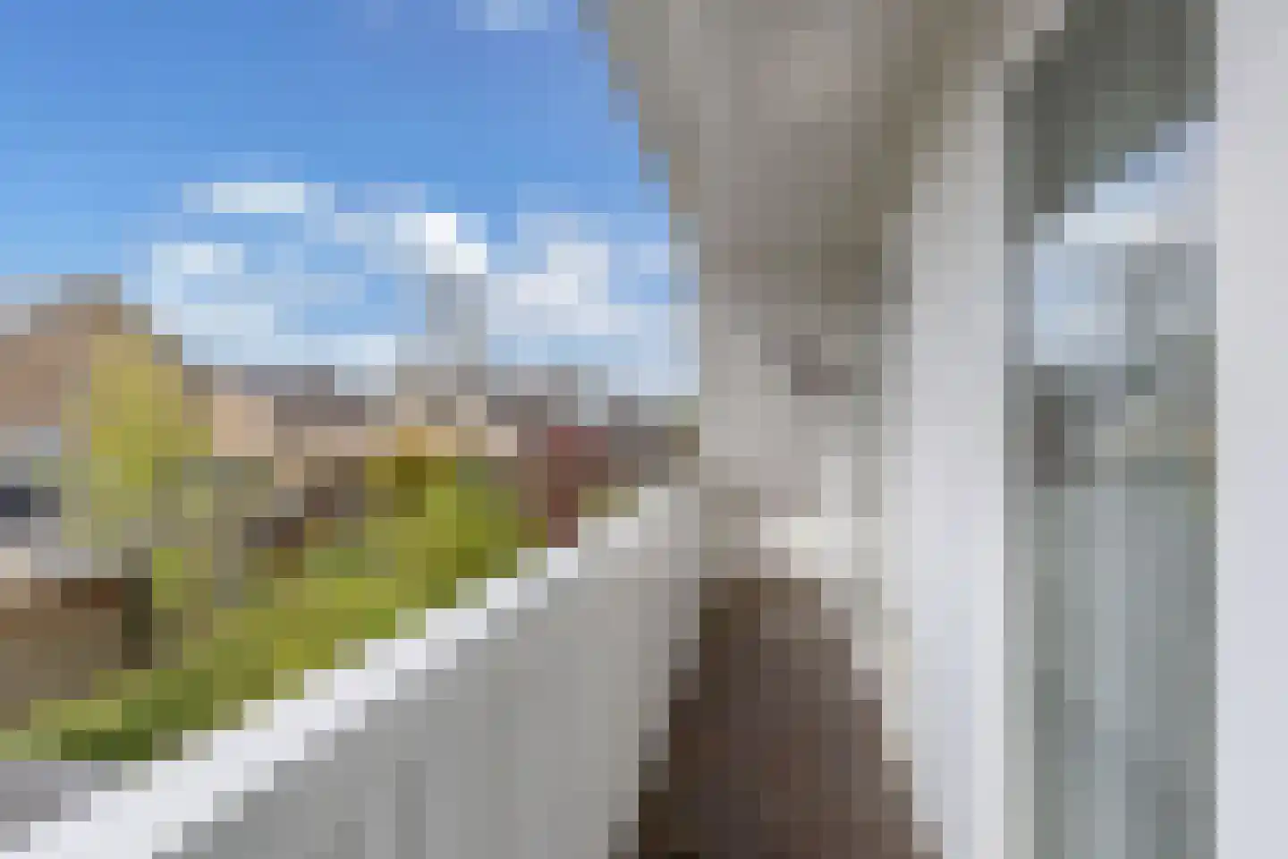 Korenmolen 65 Drachten thumbnail 31