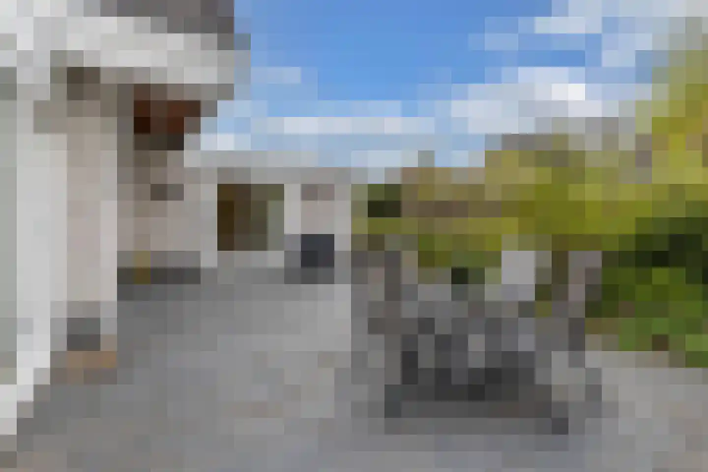 Korenmolen 65 Drachten thumbnail 43