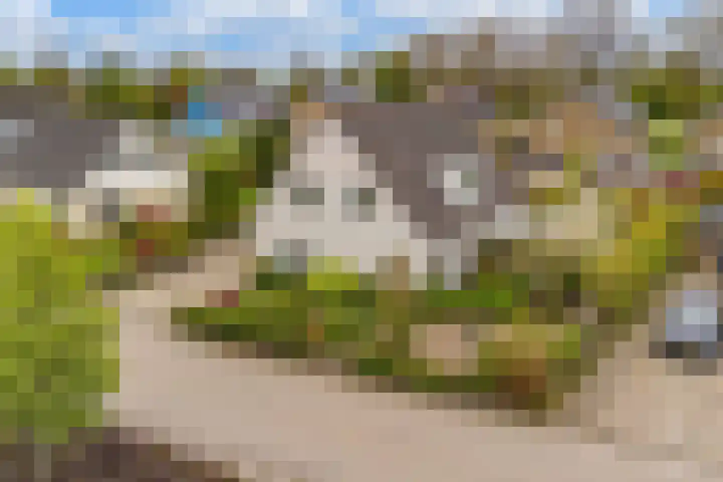 Korenmolen 65 Drachten thumbnail 50