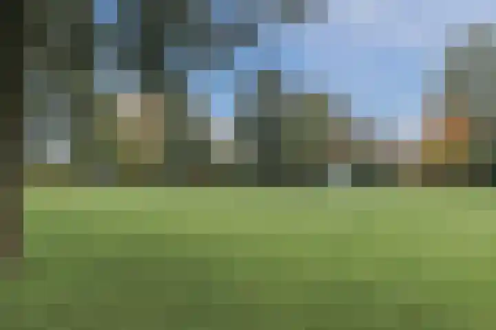 Korenmolen 7 Harmelen thumbnail 53