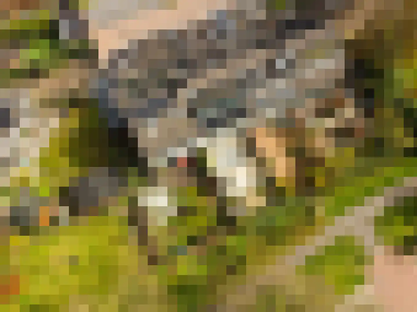 Korenmolen 70 Harmelen thumbnail 6