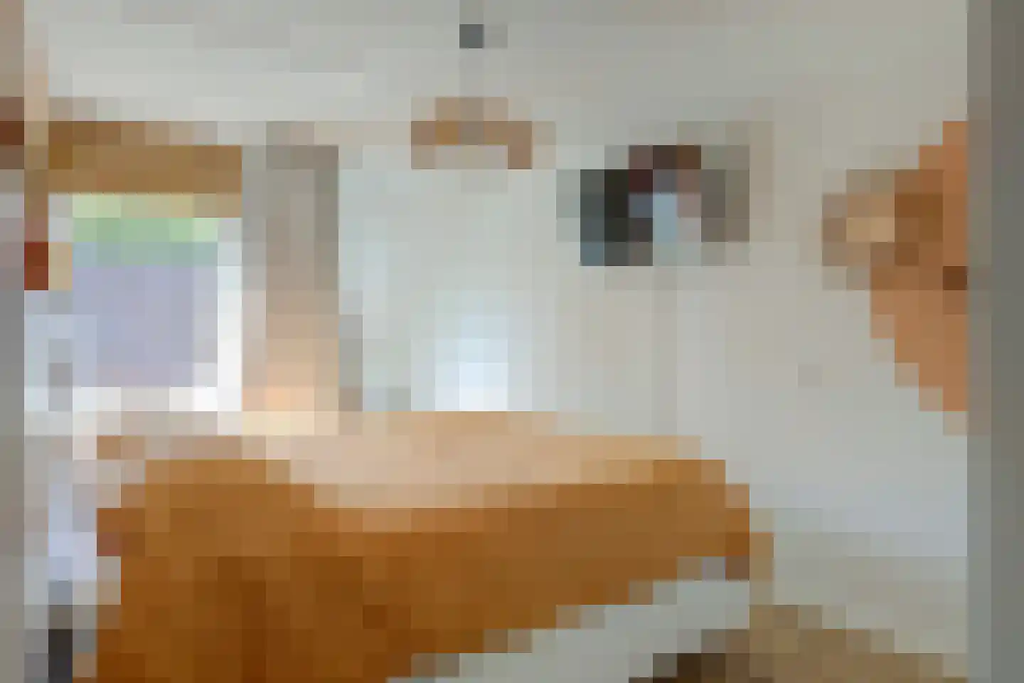 Korenmolen 73 Vianen thumbnail 20