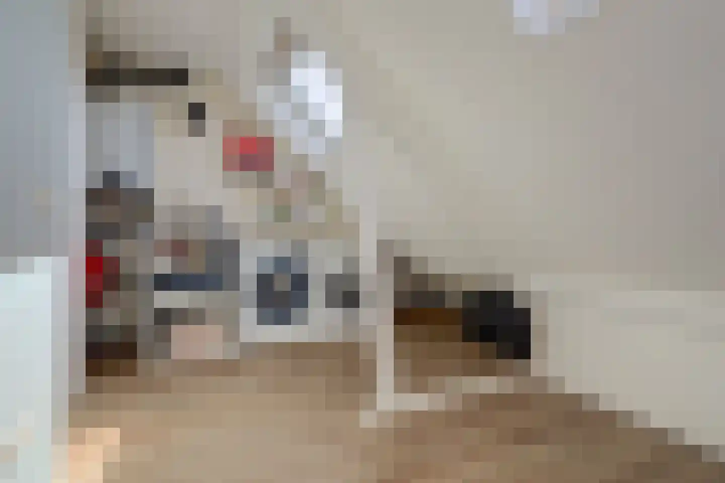 Korenmolen 73 Vianen thumbnail 33