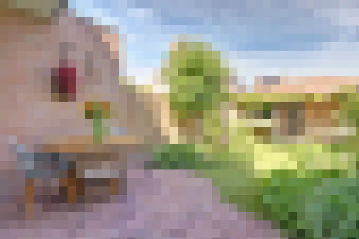 Korenmolen 73 Vianen thumbnail 37