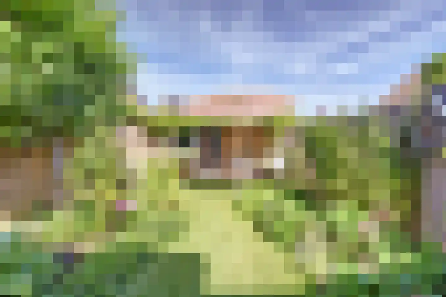 Korenmolen 73 Vianen thumbnail 38