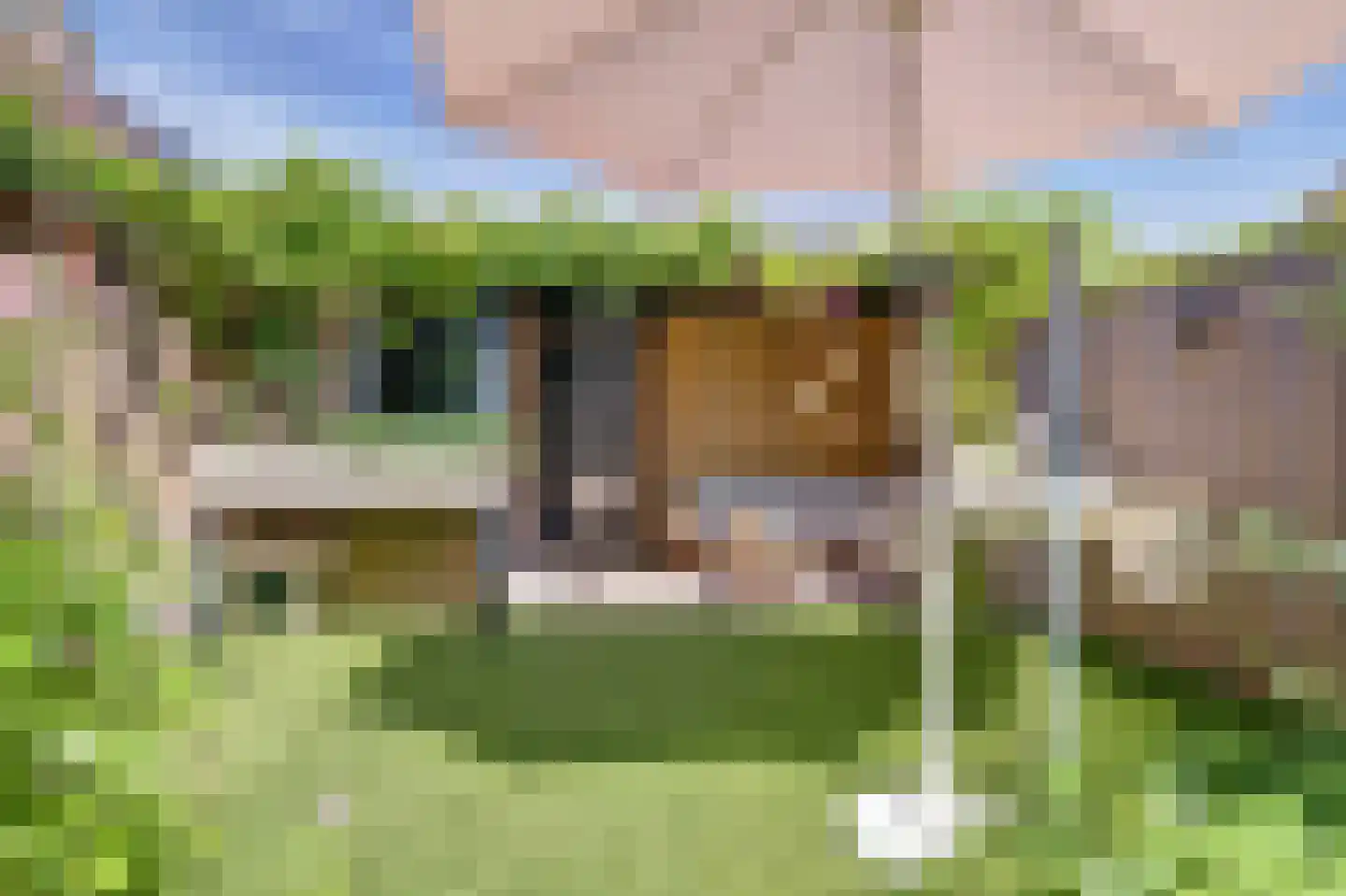 Korenmolen 73 Vianen thumbnail 39